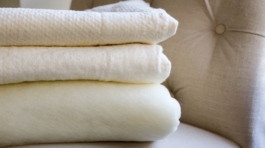 WhatsApp Image 2025-05-06 at 6.10.35 PM